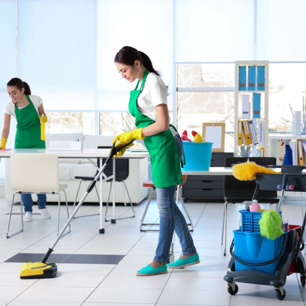Expert janitorial team providing customized cleaning services for a Hillsborough County business