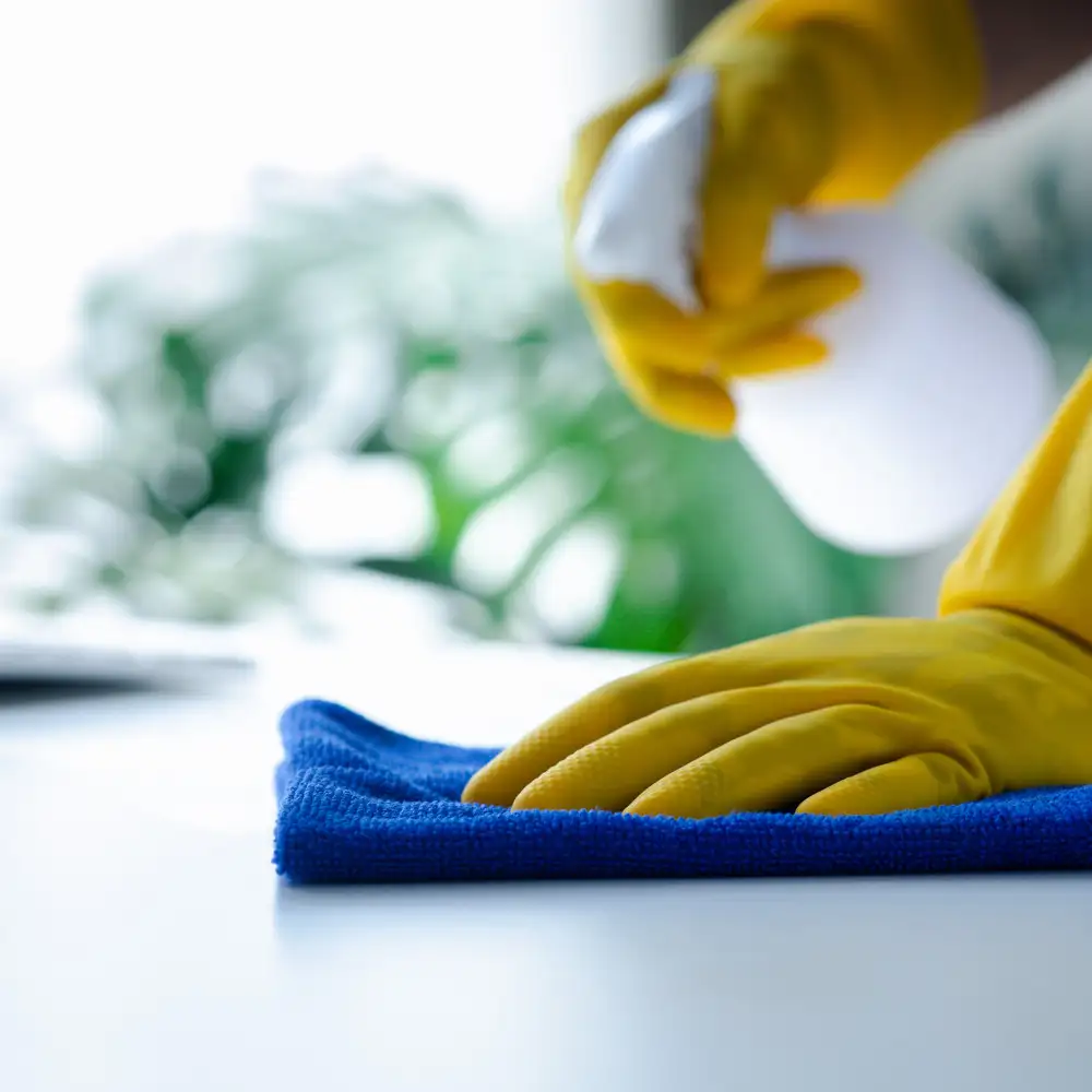 cleaning a counter for a commercial janitorial service in tampa bay